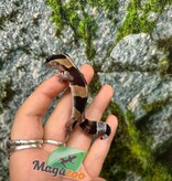 Magazoo Gecko à queue grasse ligné bébé #2