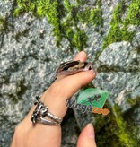 Magazoo Baby Fat-tailed Gecko #2