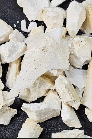 La Swamp LA SWAMP Crushed cuttlebone