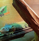 Magazoo Iguane vert Adulte Femelle 4 ans / Adoption 2ième chance