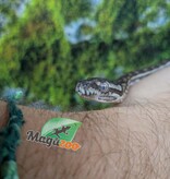 Magazoo Baby Carpet Coastal python 'Coastal x diamond' #3 (July 2026)