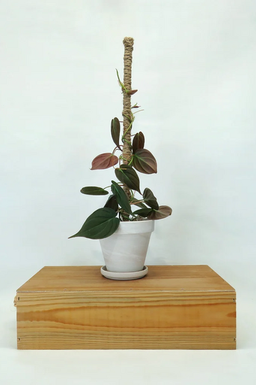 Magazoo Growth pole 35cm