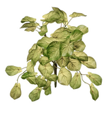 Magazoo Artificial green and cream alocasia, 10''