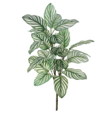 Magazoo Artificial Peperomia argyreia 27″