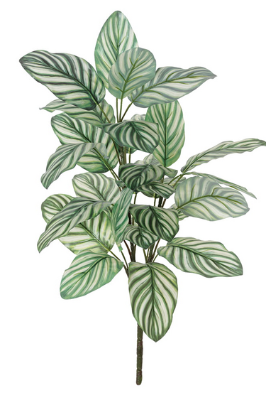 Magazoo Peperomia argyreia artificiel, 27″