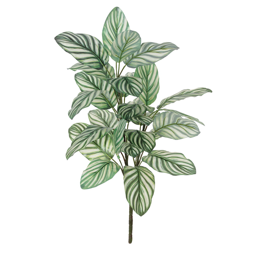 Magazoo Peperomia argyreia artificiel, 27″