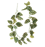 Magazoo Artificial Monstera andansonii with a realistic feel, 72″