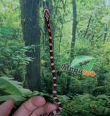 Magazoo Baby Regular (Double Het. Amel Anery) Corn Snake #4 (08/23/2026)