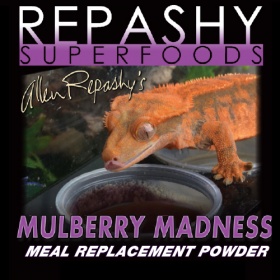 Repashy Folie de mûres - Mulberry Madness