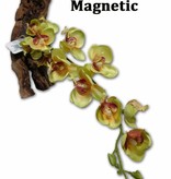 Pet-Tekk PET-TEKK PT-1805 Orchidée jaune magnétique 16"