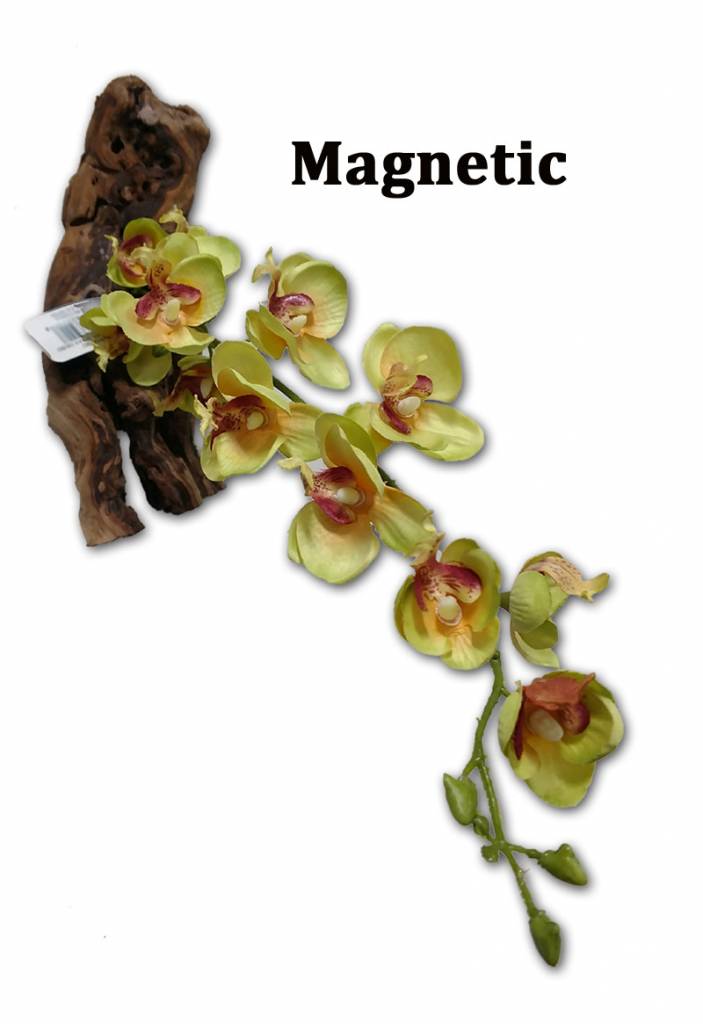 Pet-Tekk Orchidée jaune magnétique - Orchid Yellow Orchid 16''