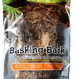 Galapagos Basking Bark 12" - 15"