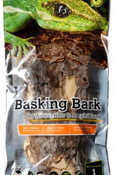 Galapagos GALAPAGOS GA-05275 Écorce Naturelle 12 - 15" de long