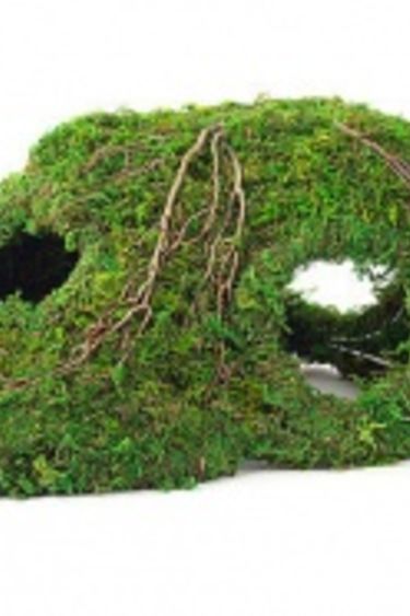 Galapagos Mossy Corner Hide