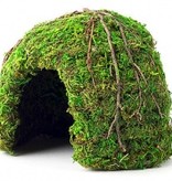 Galapagos GALAPAGOS Dôme en mousse