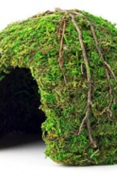 Galapagos GALAPAGOS Dôme en mousse