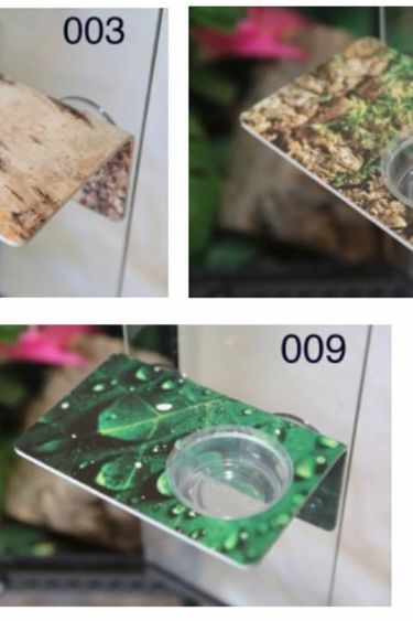 C3 Ledges C3 Plateforme large pour gecko à 1 contenant de 1.5 oz à ventouse