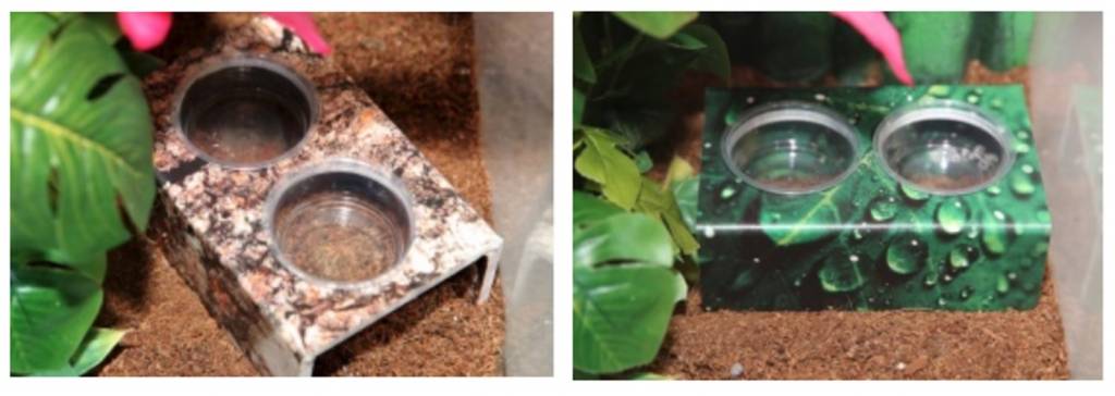 C3 Ledges Feeding Stand - Holds two 1.5oz cups