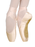 2007 Pointe Shoe