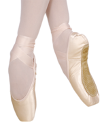 2007 Pro Pointe Shoe