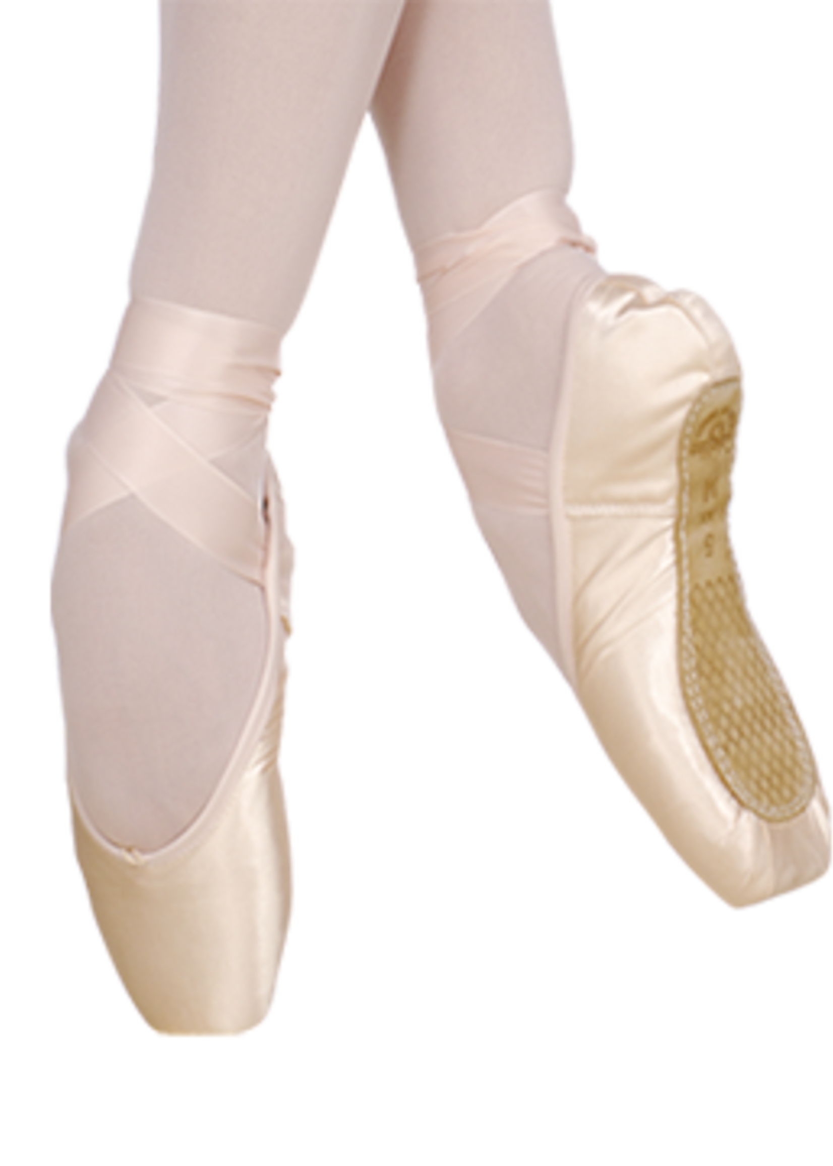 2007 Pro Pointe Shoe