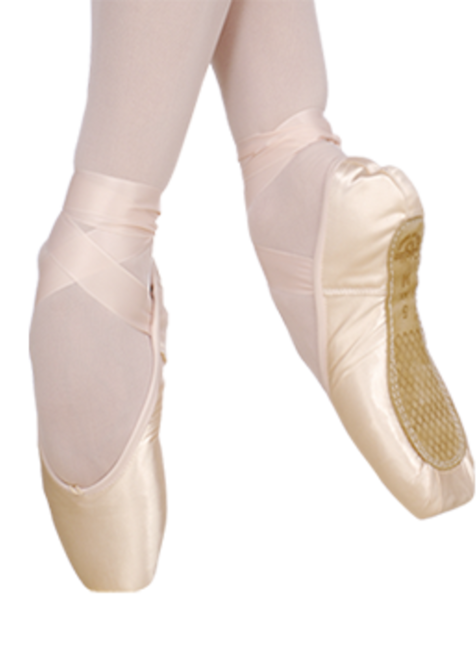 2007 Pro Pointe Shoe