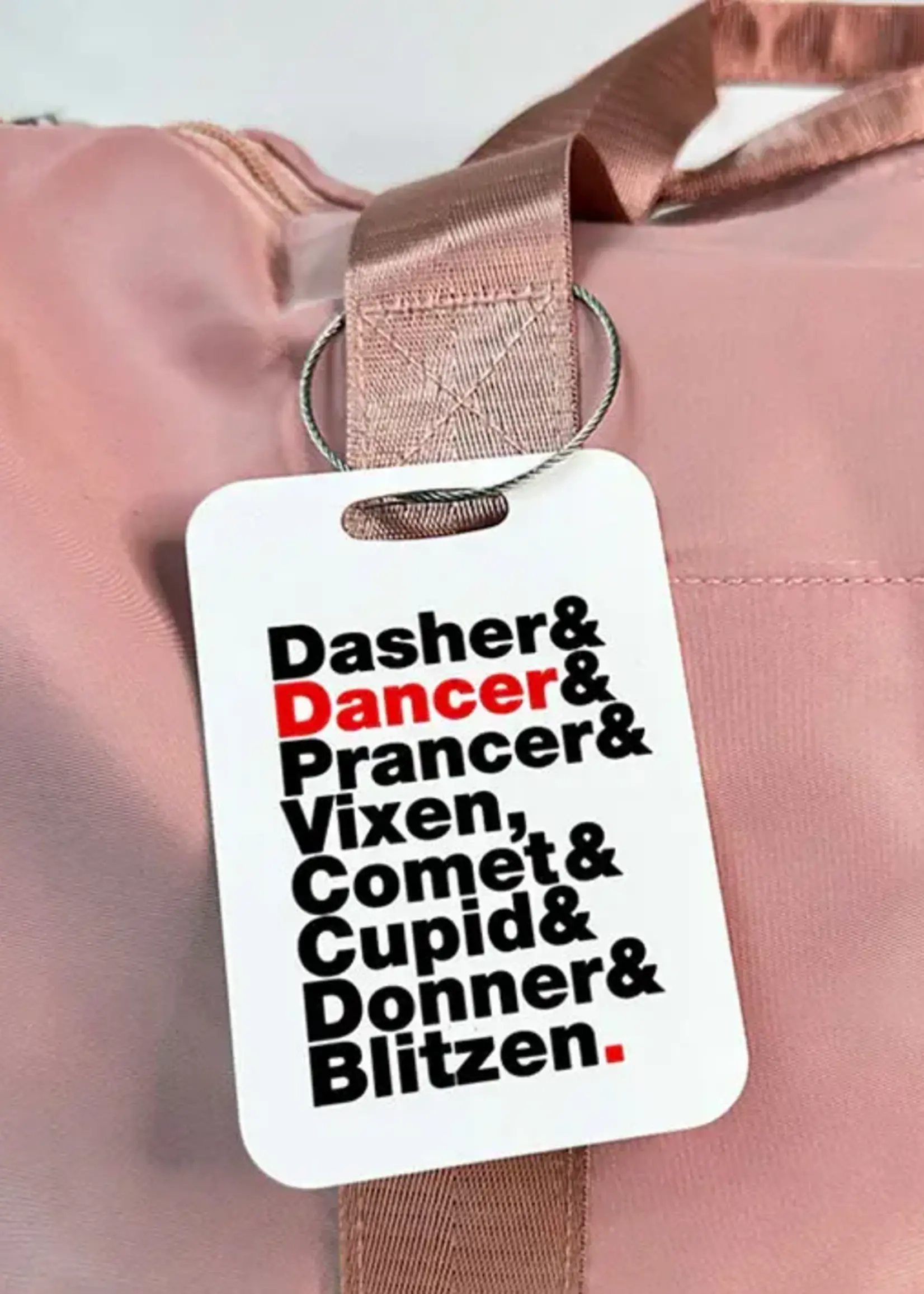 Reindeer Names Bag Tag