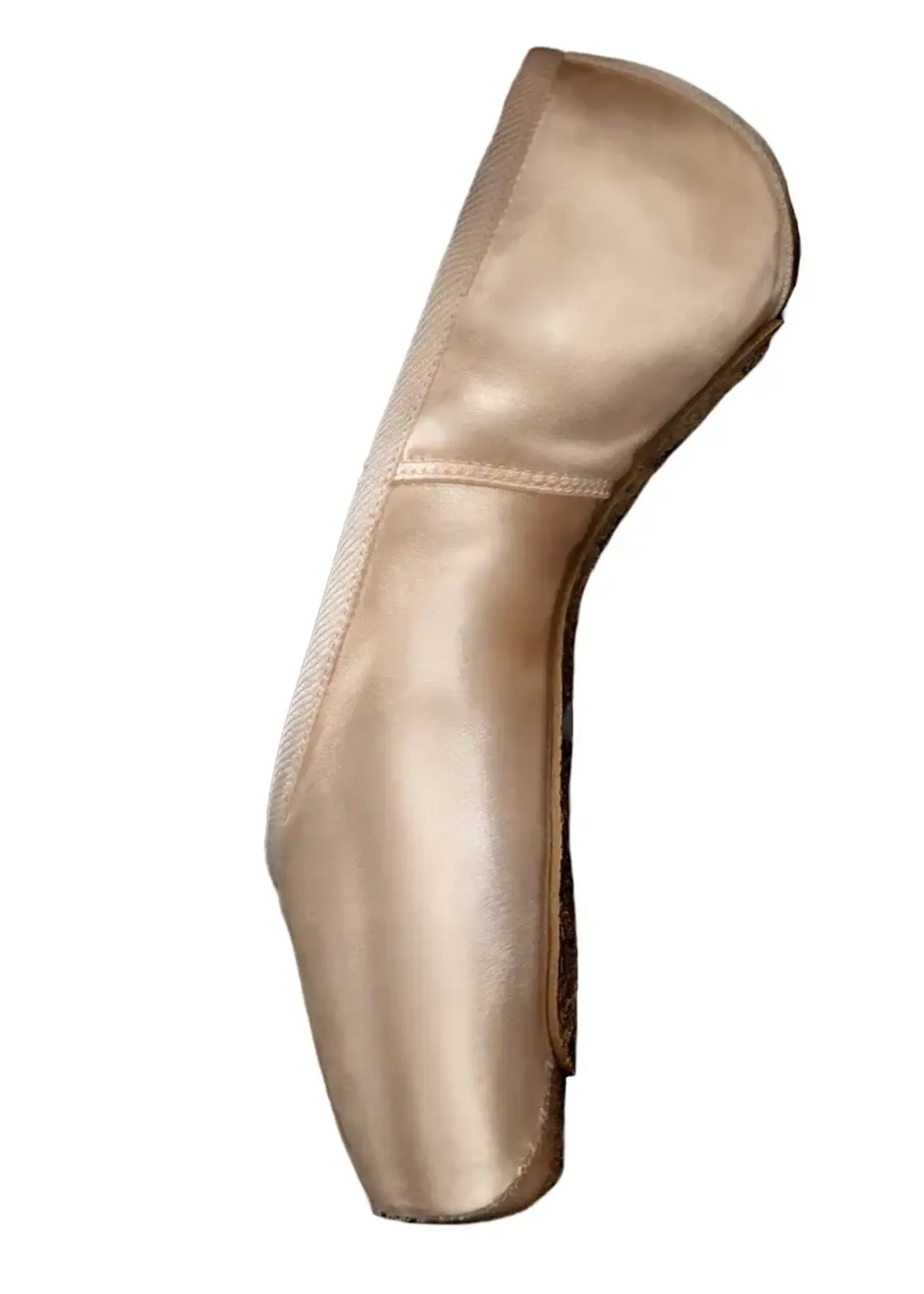 R-Class Enchante Pointe Shoe