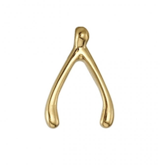Lucky's Wishbone by BVLA