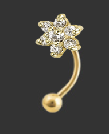 16g 5/16 Pointy Flower Curved Barbell with CZ by Body Gems