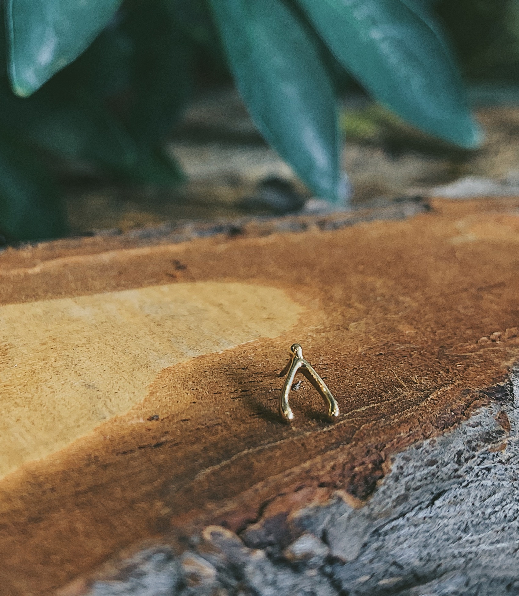 Lucky's Wishbone by BVLA