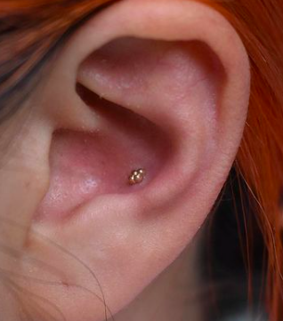4-Bead Cluster by Body Gems (threadless yellow gold) - Lucky's Tattoo and  Piercing