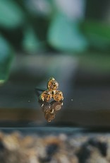 Tri-Prong Cluster with Amber Yellow CZ by Anatometal