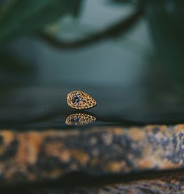 Pave Tear | Yellow Gold