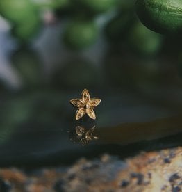 Tiny Hibiscus Flower | Yellow Gold