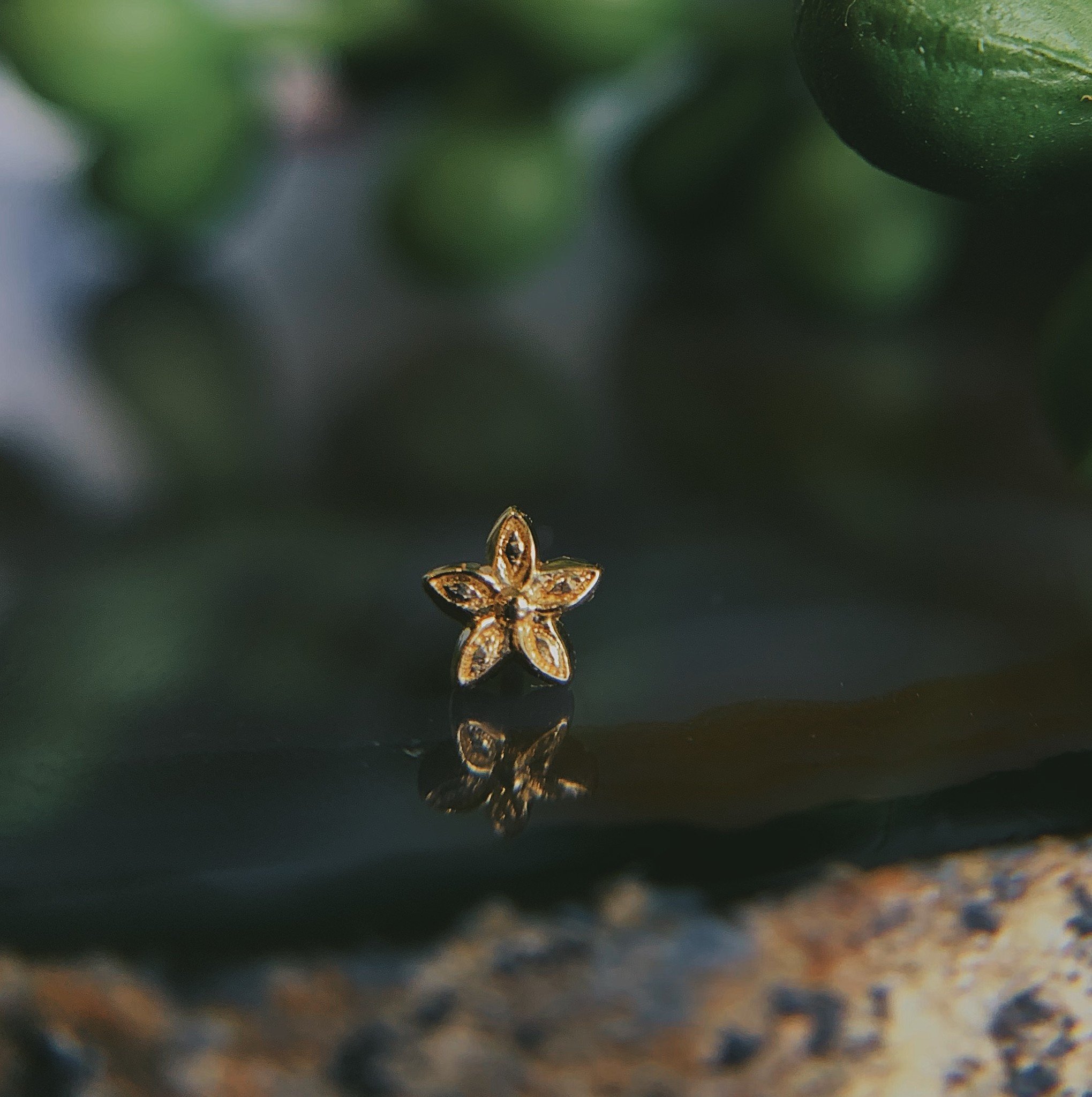 Tiny Hibiscus Flower by BLVA