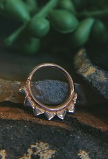 16g 5/16 "Jiya" Seam Ring by LeRoi