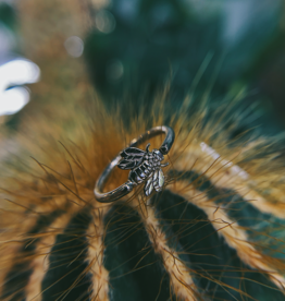 Bee Conch Ring | 16g 7/16 | White Gold