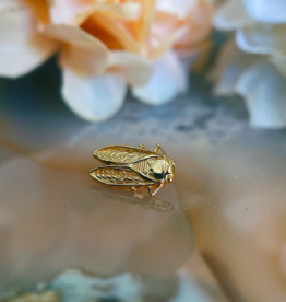 Cicada | Yellow Gold