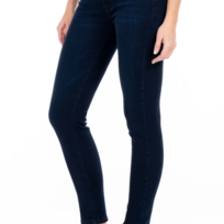 Modern American Soho Banyan