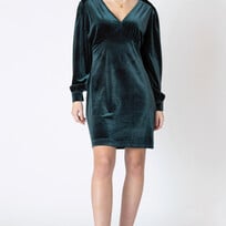 Dex Velvet Mini Dress