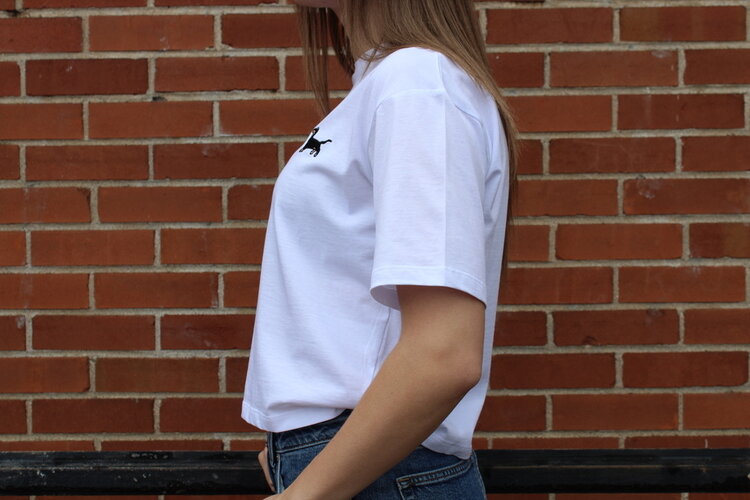 24 Colours Dog T-Shirt