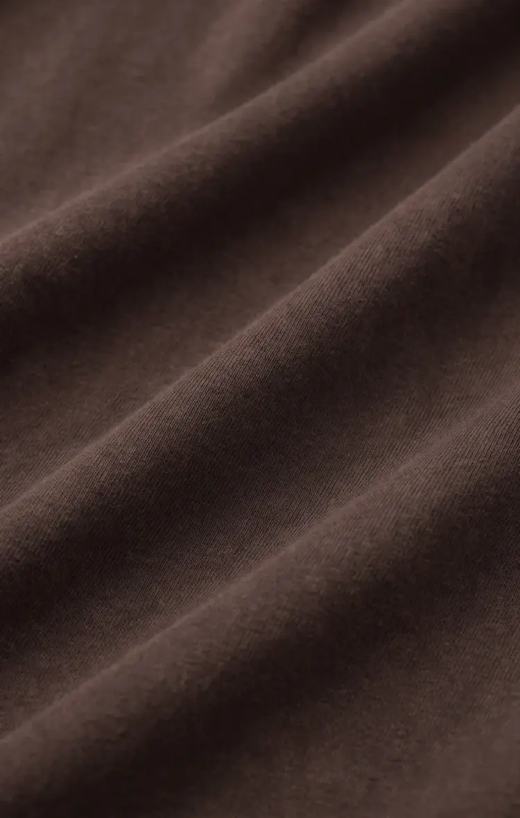 Z Supply Scout Pant Choc