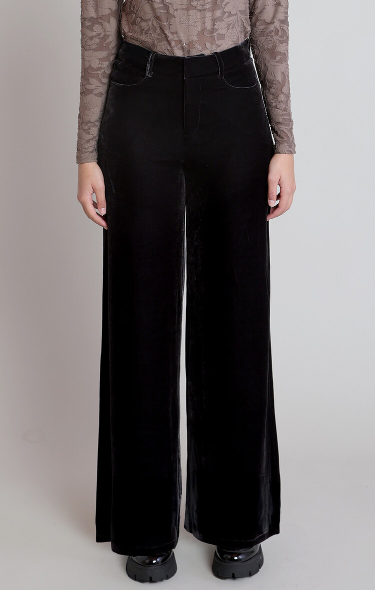 Dex Velvet Wide Pants