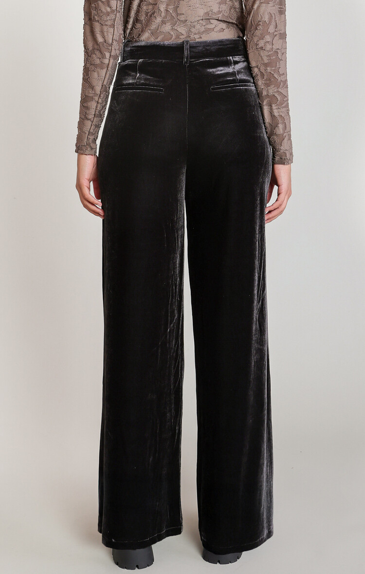Dex Velvet Wide Pants
