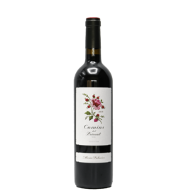 Alvaro Palacios Camins del Priorat