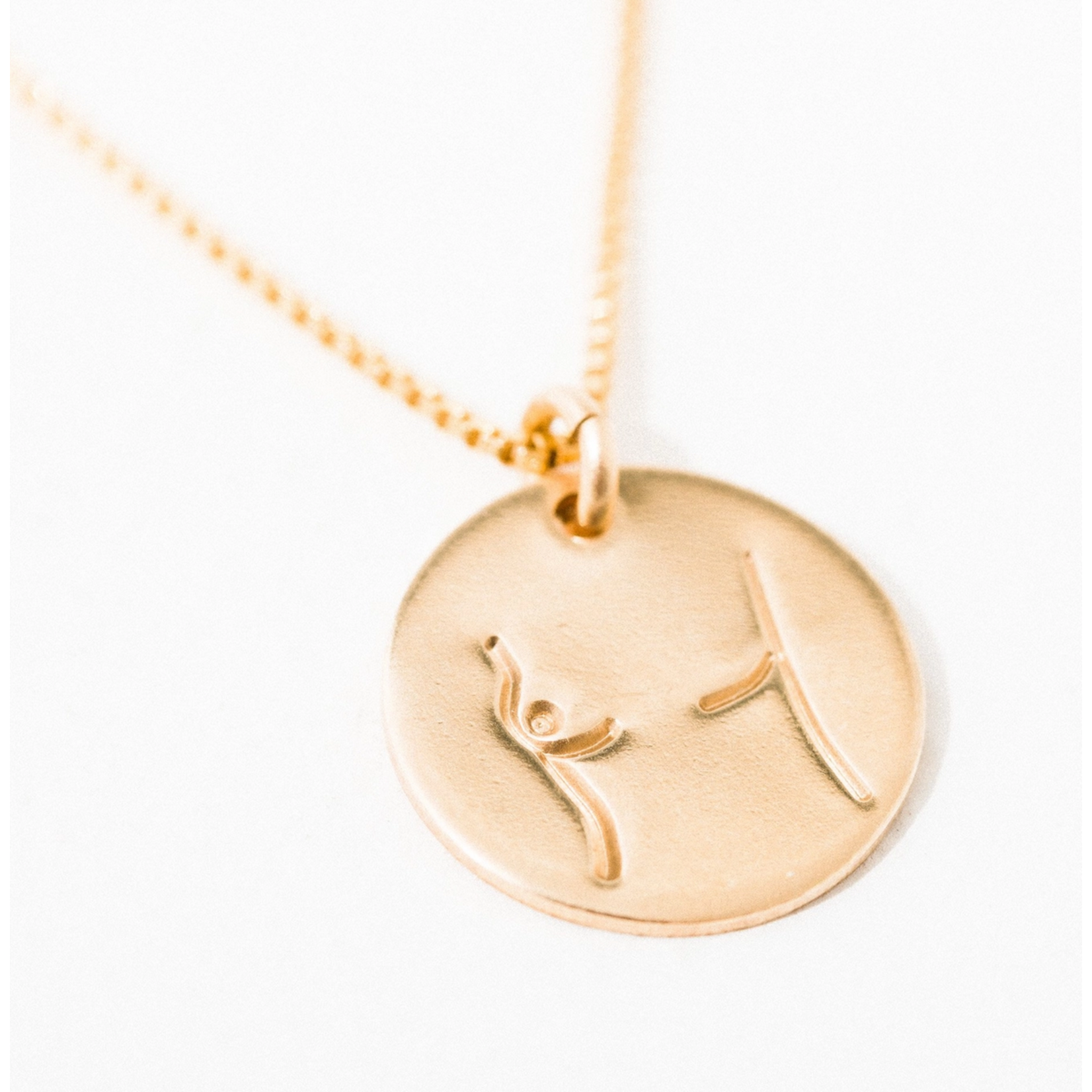Larissa Loden Mastectomy Pendant Necklace-Gold Filled
