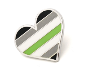 Agender Flag Heart Pin The Brass Owl