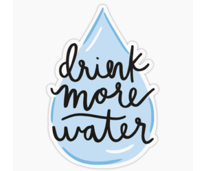 https://cdn.shoplightspeed.com/shops/605340/files/35207768/300x250x2/bloomwolf-studio-drink-more-water-sticker.jpg