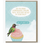 Modern Printed Matter Hummingbird Sugar Birthday Card